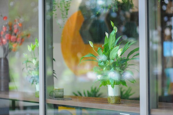 Vtc arcachon : offrez-vous des trajets haut de gamme personnalisés